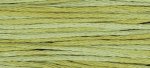 (image for) Scuppernong